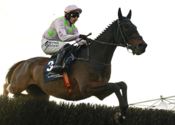 Templegate's Tote Placepot tips for Gold Cup day with £1million guaranteed in the pool at Cheltenham