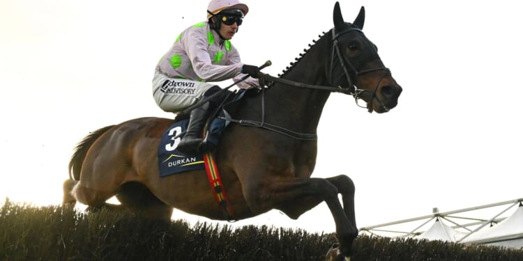 Templegate's Tote Placepot tips for Gold Cup day with £1million guaranteed in the pool at Cheltenham