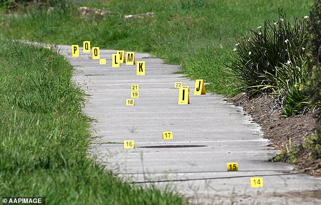 A trail of blood led from the home to where Dr Blake Seers was hit by a ute