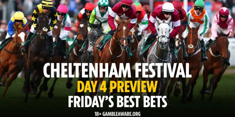 Friday's best tips for Gold Cup