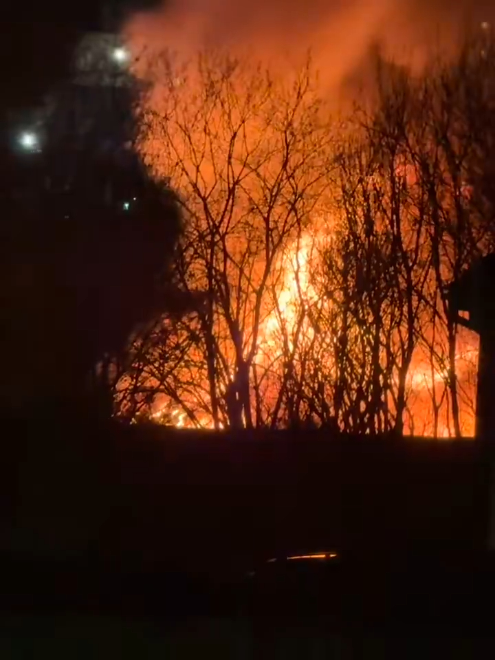 NINTCHDBPICT001066219790