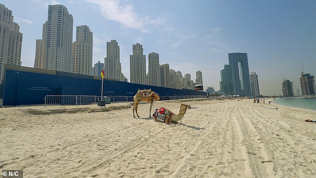 Jumeirah beach was desolate on Friday amid reports facilities are closing because of a lack of visitors
