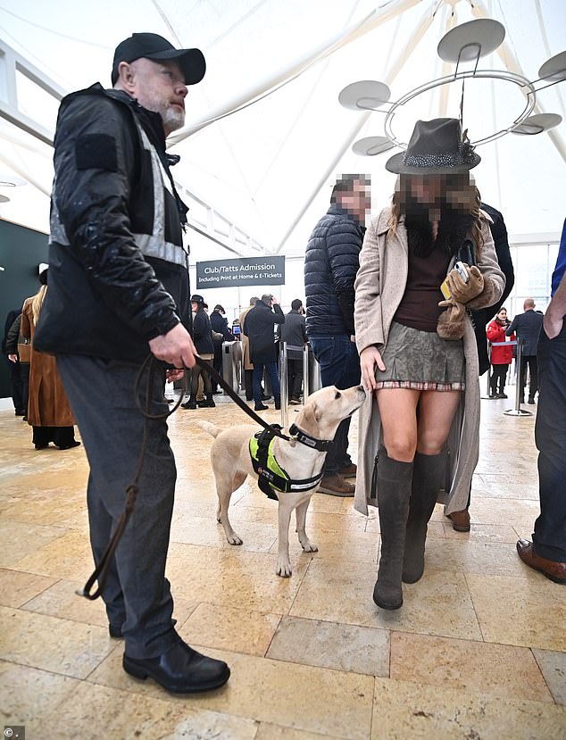 Teams of ‘sniffer’ dogs were patrolling the venue, though they only appeared to be at the main gates