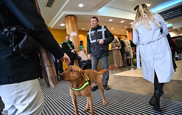 One leading racing commentator said the security measures were carried out with 'a light touch'