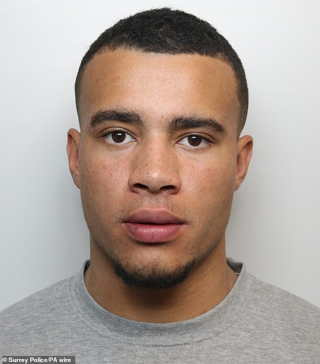 Sullivan made headlines last year after he missed a court appearance over the crash to attend a boxing match in Qatar and Surrey Police issued this picture of him in November