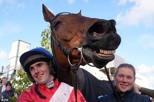 Envoi Allen won 10 Grade 1 races and added a record-breaking third Down Royal Champion Chase to his trophy cabinet in November