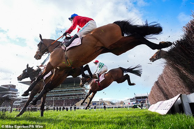 Envoi Allen pictured racing in this year's Boodles Gold Cup at the age of 12