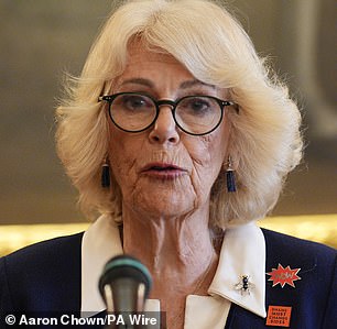 Camilla continues to speak out on behalf of victims of sexual violence
