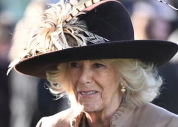 Queen Camilla told friend Meghan 'brainwashed' Prince Harry as family tensions reached boiling point, new book claims