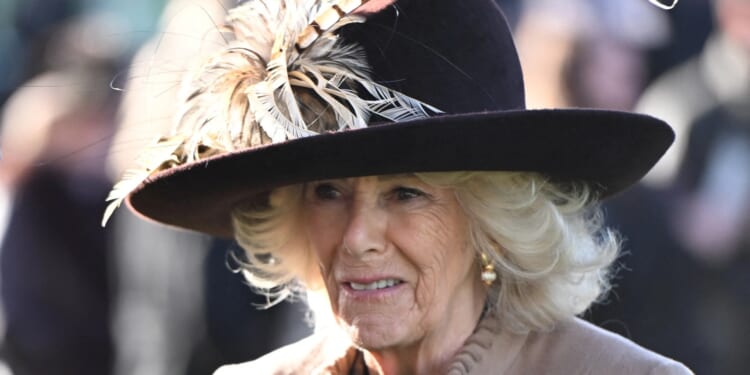 Queen Camilla told friend Meghan 'brainwashed' Prince Harry as family tensions reached boiling point, new book claims