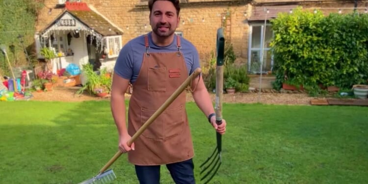 Soggy, patchy lawn with lots of weeds and moss? 4 easy steps to revive your grass & get it thick and lush in a few weeks