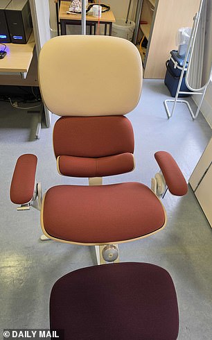 The Aiora chair ranges from £5,700 for the basic model (pictured) to £9,950 for the leather-clad 'Signature' version