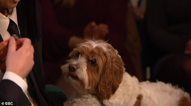 However viewers fell in love with the cockapoo named Percy that appeared on the sofa with Claudia