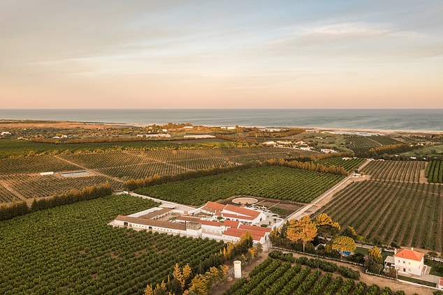 Casas da Quinta de Cima consists of nine farm cottages surrounded by lemon and avocado fields