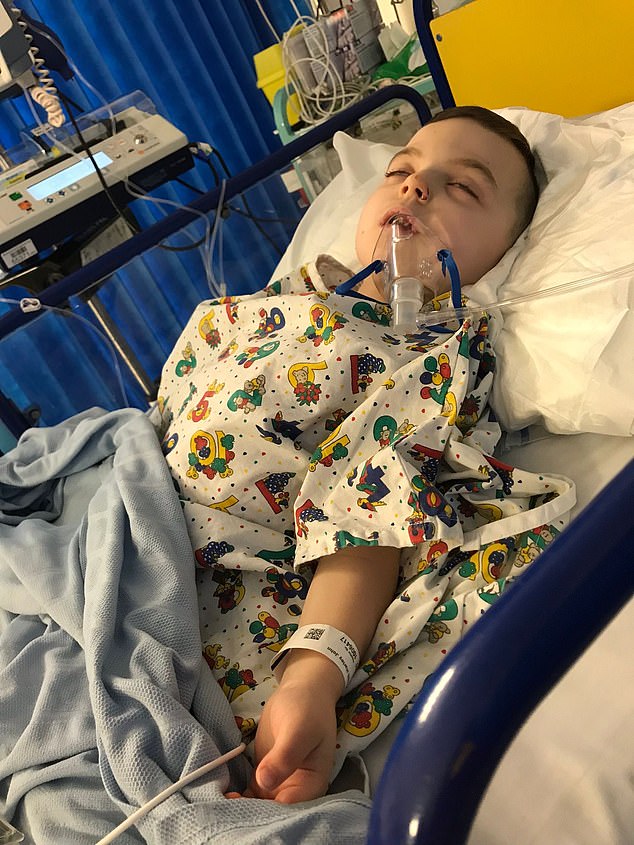 In 2018, Harley (pictured) underwent spinal surgery after being told the SCT was crushing his internal organs