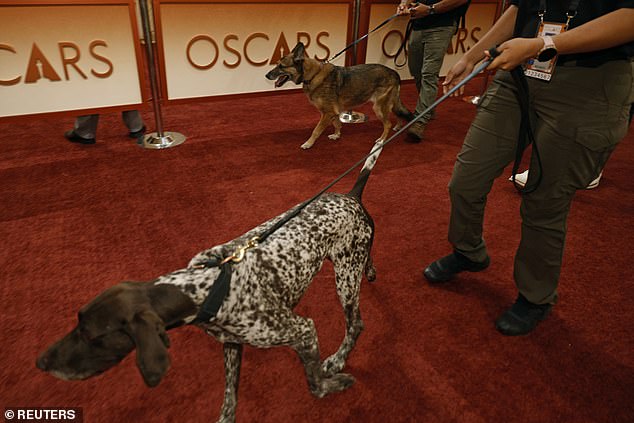 People walk with security dogs on the red carpet during the Oscars arrivals at the 98th Academy Awards in Hollywood, Los Angeles, California, U.S., March 15, 2026. REUTERS/Carlos Barria