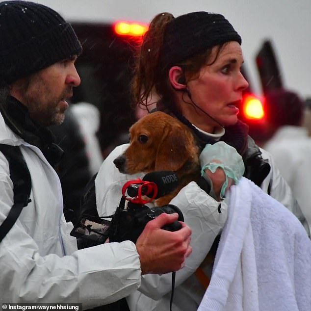 Wayne Hsiung, attorney and co-founder of Direct Action Everywhere, shared videos and photos from the operation, and said that 22 dogs were 'rescued'