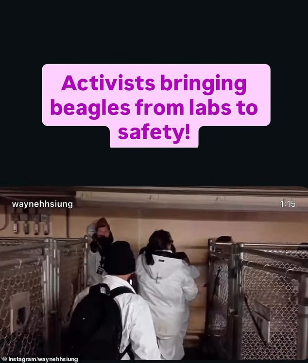 The dogs at Ridglan Farms are used in scientific research and the facility has repeatedly drawn the attention of animal welfare activists