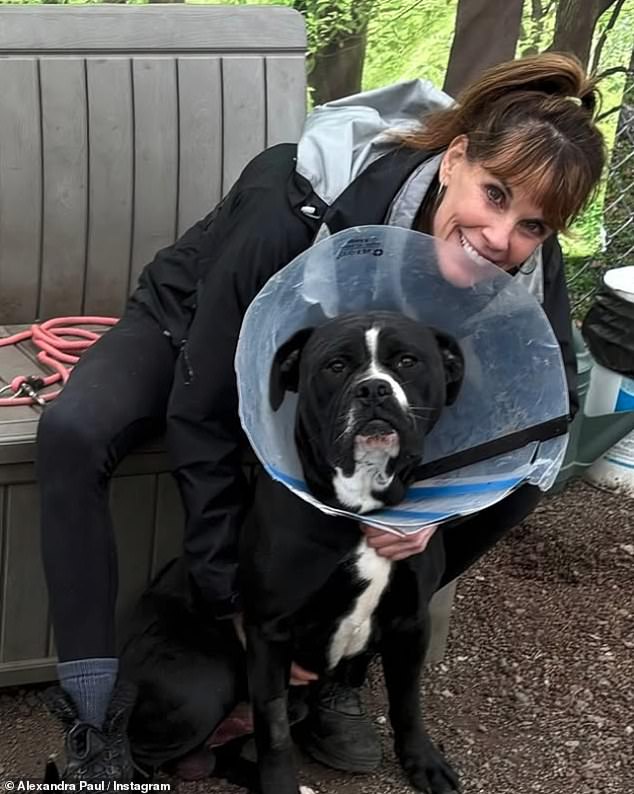 She was arrested in 2020 for trying to rescue a pig from a Farmer John slaughterhouse, and in 2023 for rescuing a chicken from a Foster Farms slaughterhouse truck; Seen in a social media snap