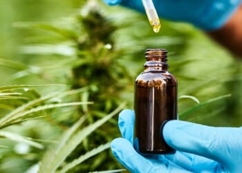 There's NO evidence marijuana or CBD oil can help mental health, major review suggests