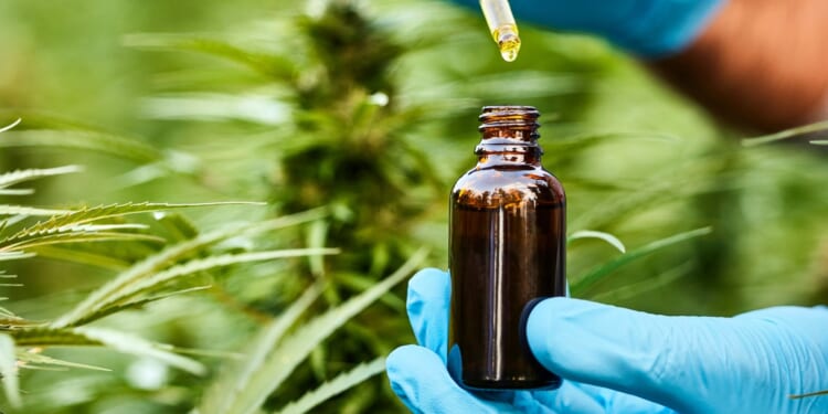 There's NO evidence marijuana or CBD oil can help mental health, major review suggests