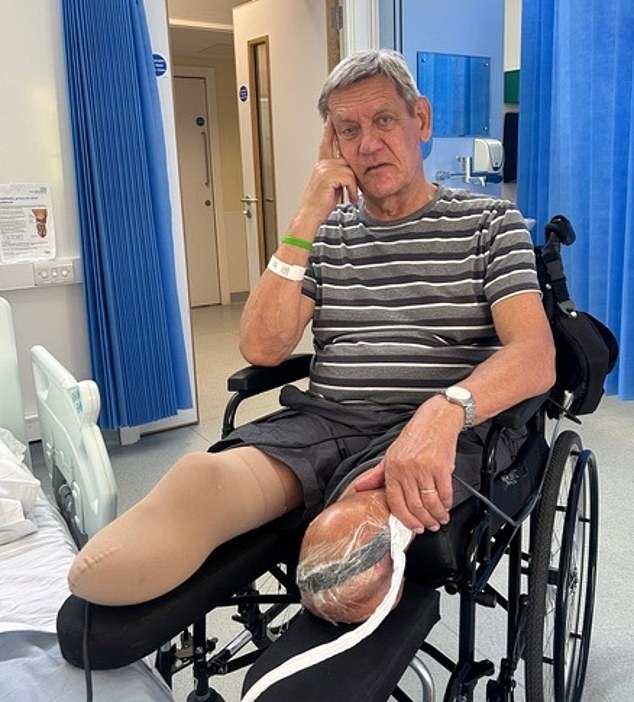 Nic¿s is a common story... thousands of Britons undergo avoidable leg amputations each year