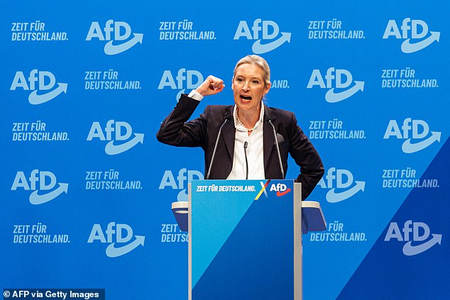 AfD leader Alice Weidel hit back at Merkel's comments, claiming the former Chancellor had 'inflicted severe damage' on the country