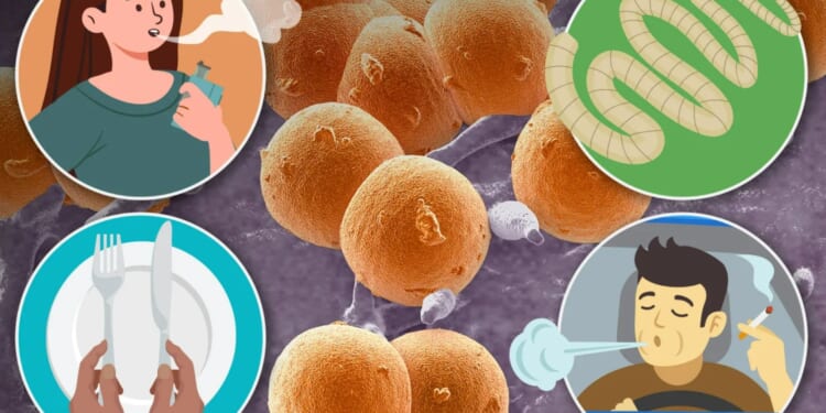 From vaping to your cutlery