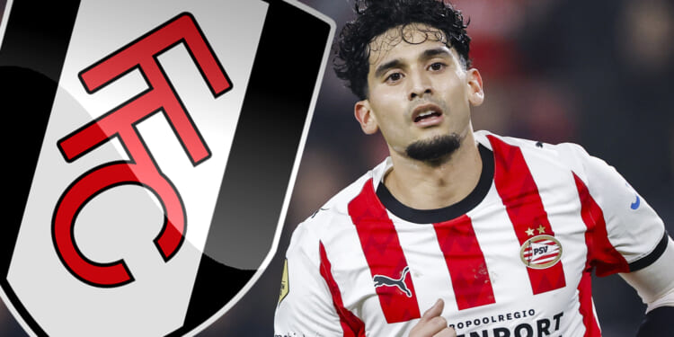 Fulham 'agree £31million transfer' in March with Champions League star 'set to undergo medical in days'