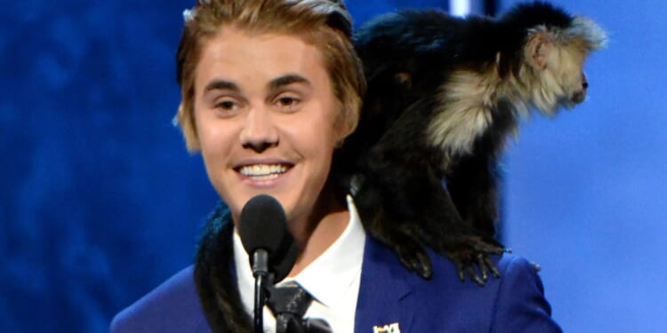 What's really going with Justin Bieber & his vanishing pets? From baby monkey to wild cats amid fears for star’s health