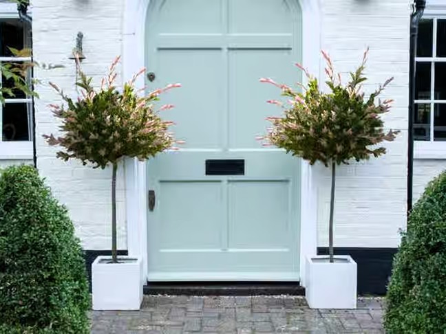 Two potted trees with variegated foliage flank a light blue front door.