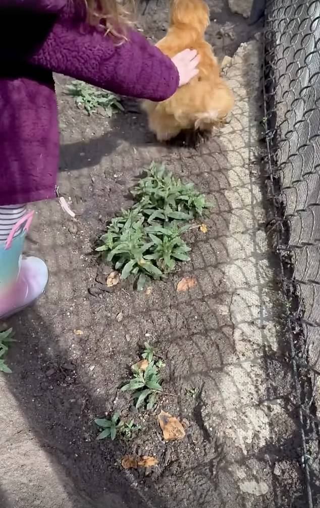 Earlier in the day, she posted a photo that gave a glimpse of Lilibet chasing chickens at the Sussexes's home in Montecito, California