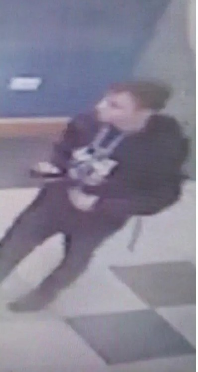 NINTCHDBPICT001067684532