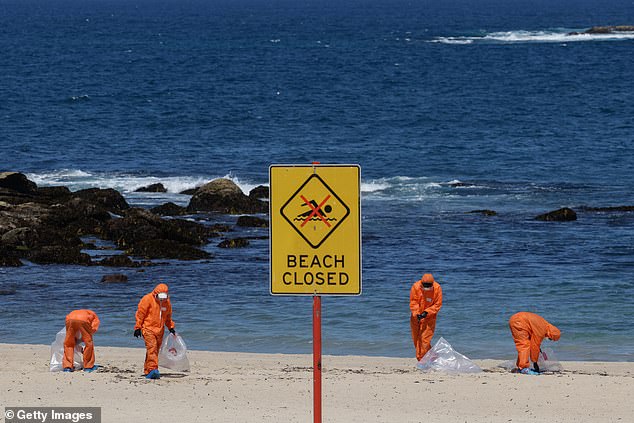 Workers in hazmat suits work to clear up toxic balls on Coogee Beach in 2024, which saw it closed