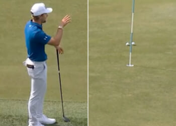 'What in the world are we to do?'