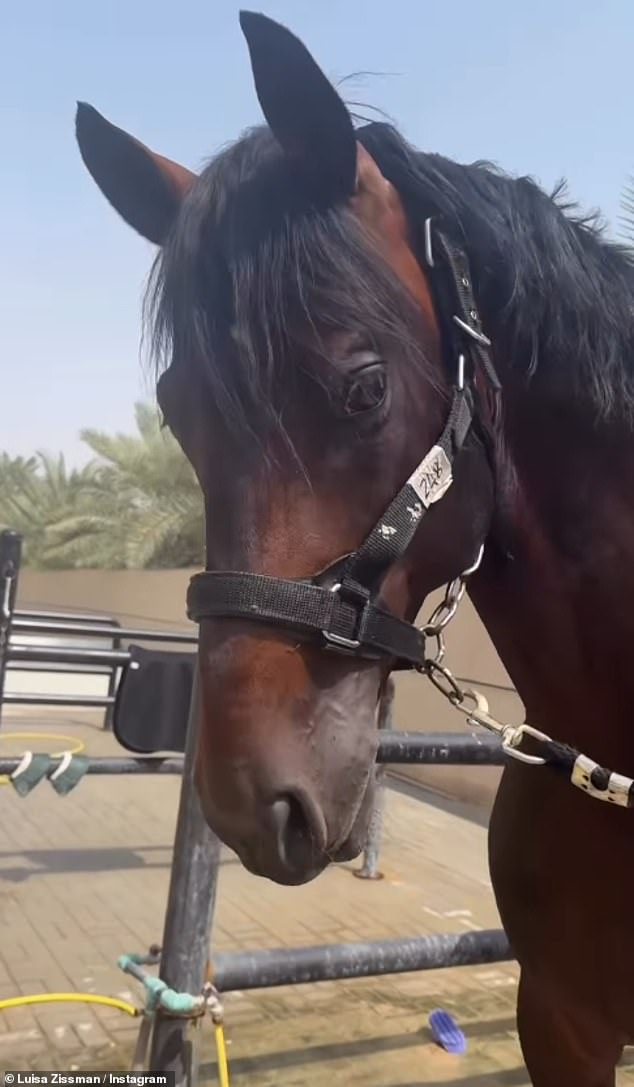 In her post, Luisa was seen riding one of her horses while she shared sweet clips of her other horses as she prepares to fly them back