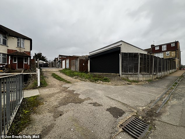 The lane sits behind a row of terraced houses in Arnos Green, north London, where the families have each lived for decades
