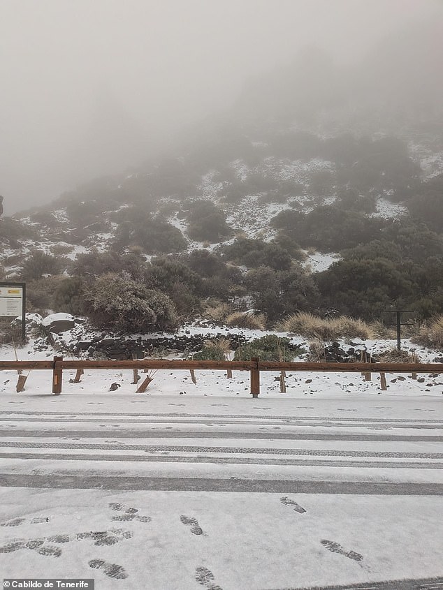Spain's State Meteorological Agency (AEMET) has warned some areas could see more than a year's worth of rain in just days