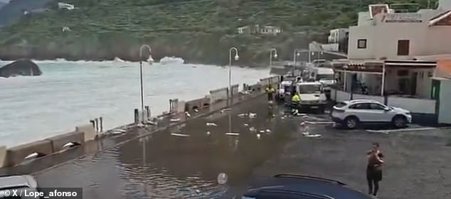 Gusts have exceeded 74mph in places, while relentless downpours have triggered flash flooding and landslides, according to local reports