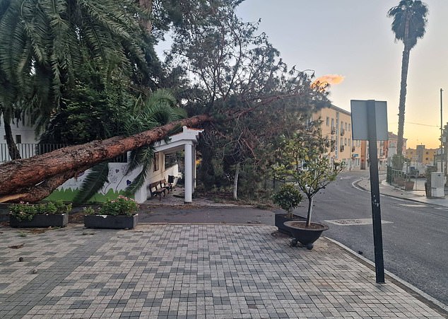 Schools, nurseries and day care centres were also forced to close, with services for elderly residents suspended as a precaution