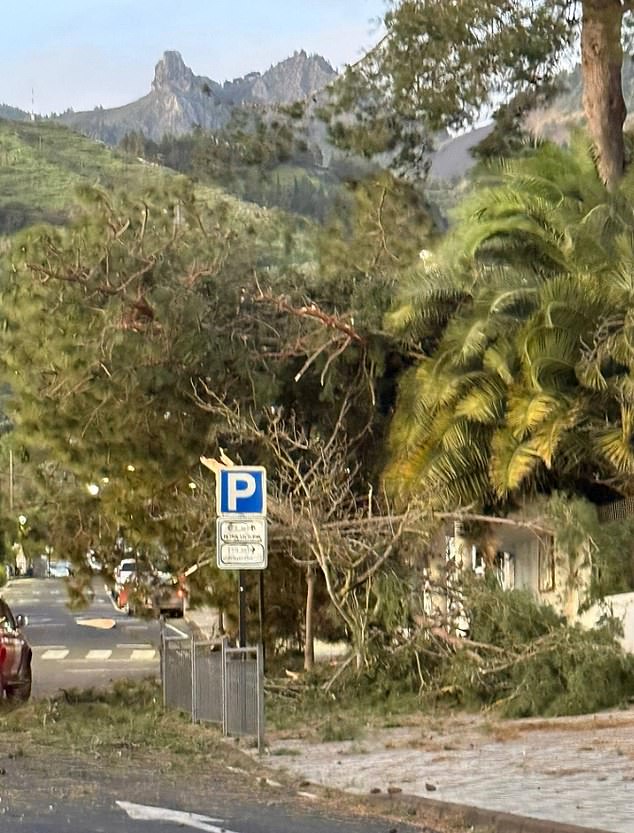 The severe weather has already caused major disruption, with at least seven flights cancelled or diverted on Thursday following 36 cancellations the previous day, leaving thousands of passengers stranded. Pictured: Large waves caused by storm