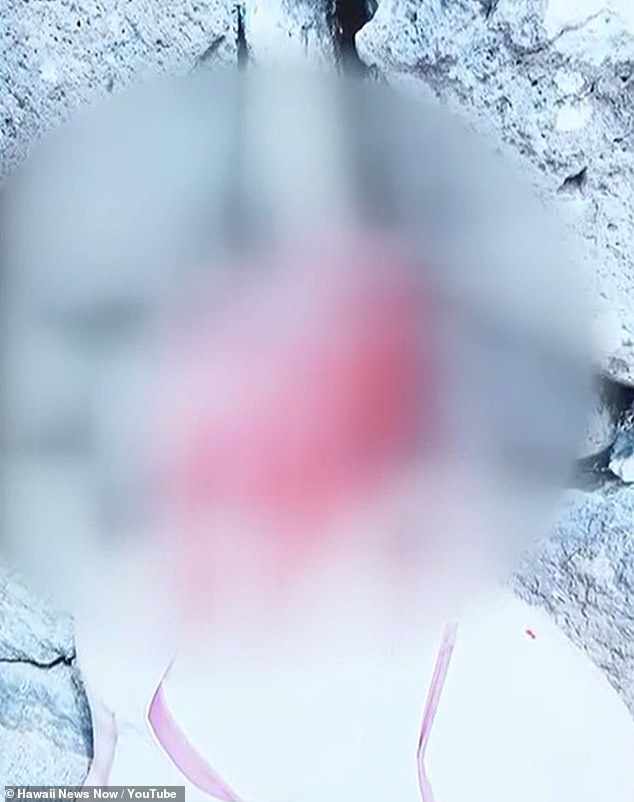 The court was shown an image of Arielle after the alleged attack, showing her with blood seeping from her head and face after being struck by the rock