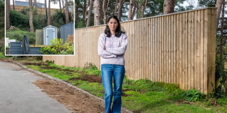 We built 6ft privacy fence after break ins but are being forced to rip it down as it's 'ugly'… but no one has complained