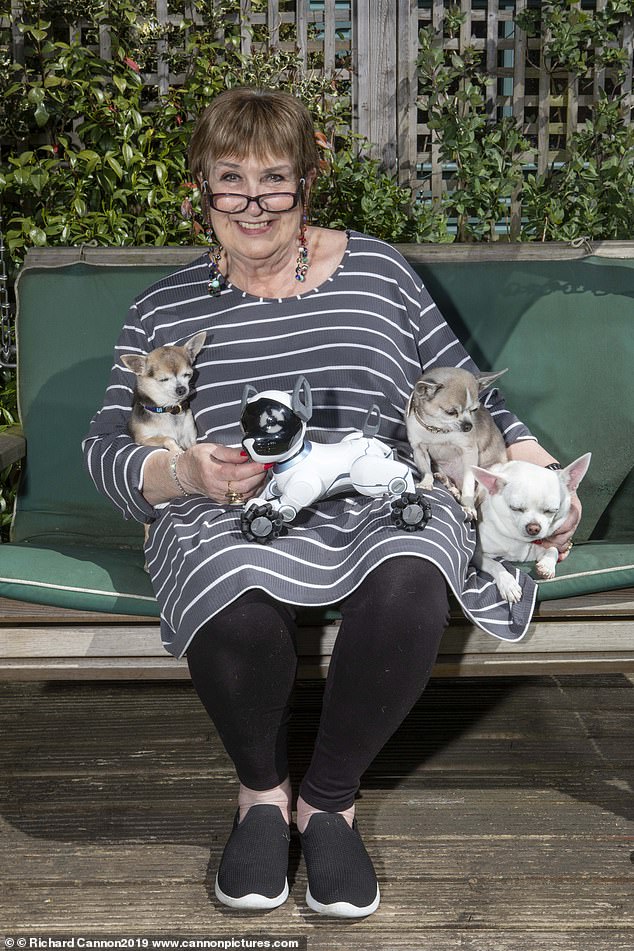 She was fond of dogs and owned several chihuahuas