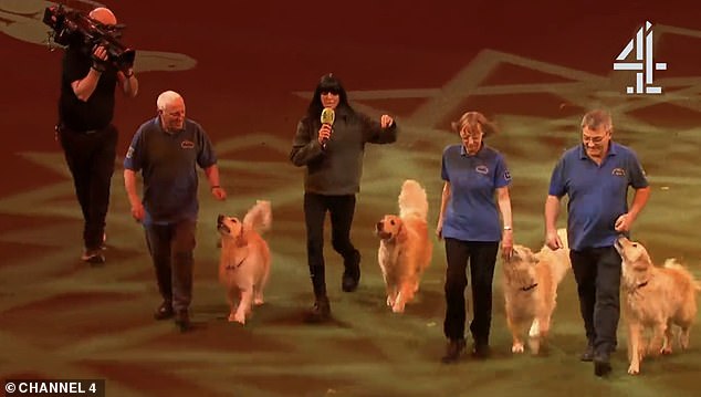 Claudia met with the Southern Golden Retriever Society¿s Display Team