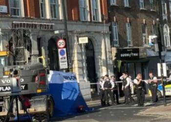 OAP 'crushed to death by 20 tonne digger' on busy high street as kids 'screamed & cried' after man went 'underneath'