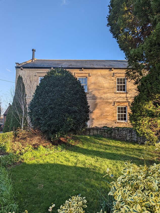 Four years after moving in, the orchard maintenance was a chore, weekly mowing of two hours each time became another job on a long list of cleaning, sorting and sprucing