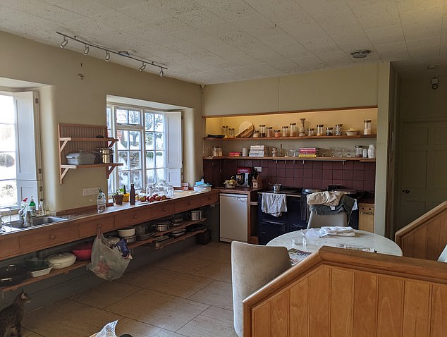 Pip explained that despite loving stunning home, continuing to spend on it felt 'wasteful, negligent and totally unnecessary'. Pictured, the kitchen at the Somerset house