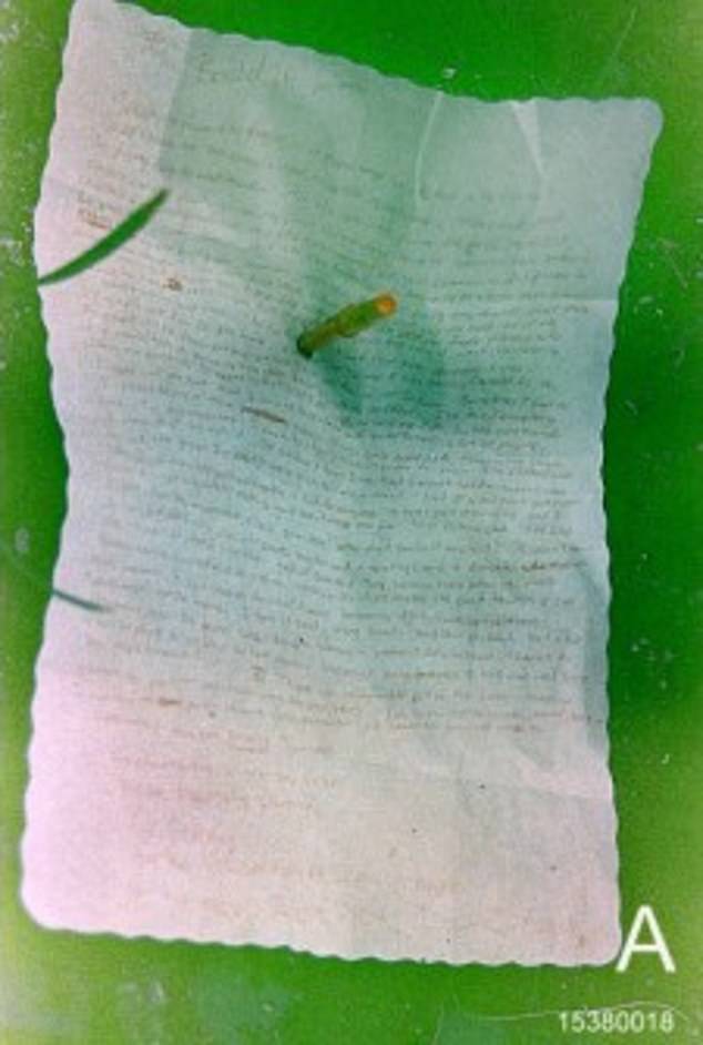 A suicide note impaled with a red pen into the soil of a potted plant was long believed to be Kurt Cobain's final message to the world