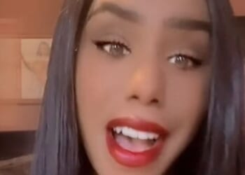 Horror novel Shy Girl pulled from shelves after claims it was written by AI